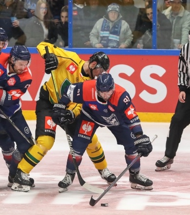 Skrót meczu Fehérvár AV19 - GKS Katowice