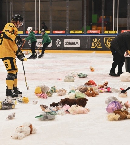 Walentynkowy Teddy Bear Toss [GALERIA]