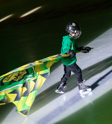 Nabory do sekcji hokeja w akademii