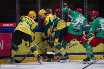 Fot. Tomasz Błaszczyk