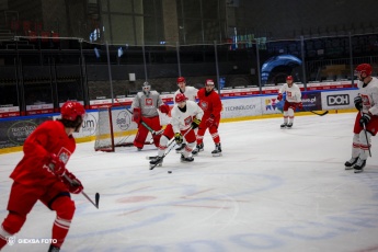 Fot. Tomasz Błaszczyk