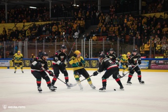 Fot. Tomasz Błaszczyk