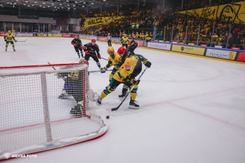 Fot. Tomasz Błaszczyk