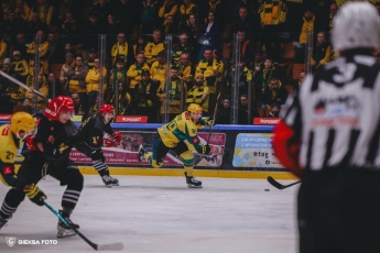 Fot. Tomasz Błaszczyk