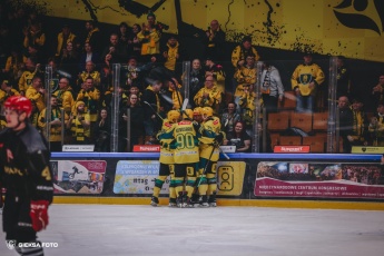 Fot. Tomasz Błaszczyk