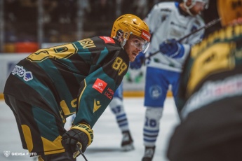 Fot. Tomasz Błaszczyk