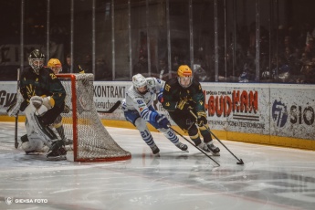 Fot. Tomasz Błaszczyk