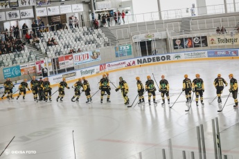 Fot. Tomasz Błaszczyk