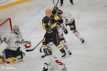 Fot. Tomasz Błaszczyk